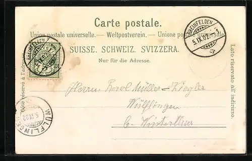 Mondschein-AK Rheinfelden, Teilansicht mit Brücke