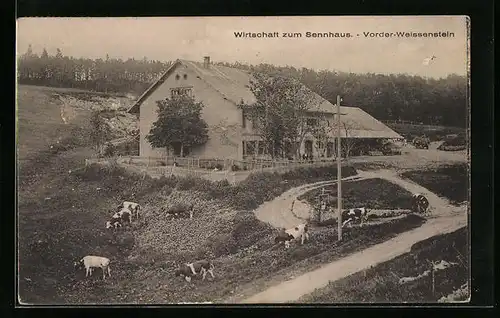 AK Vorder-Weissenstein, Wirtschaft zum Sennhaus mit Strasse und Kühen aus der Vogelschau