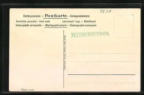 Lithographie Feldberg /Schwarzw., Bergpanorama mit Gipfelnamen, Gasthaus Feldbergerhof