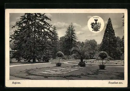 AK Sopron, Erzsébet-tér