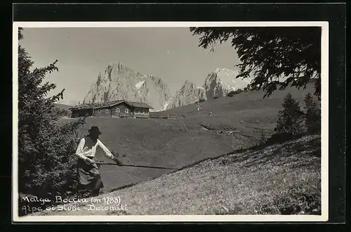 AK Malga Boccia, Sensen des Grases vor Bergpanorama