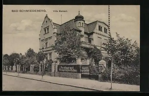 AK Bad Schmiedeberg, Hotel Villa Steinert mit Restaurant Kronprinzen-Keller