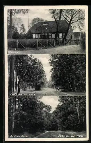 AK Güsen, Forsthaus, Partie aus dem Walde