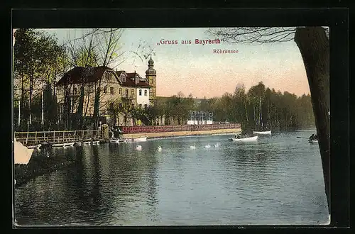 AK Bayreuth i. B., Schwäne am Ufer des Röhrensee