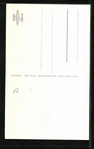 AK Waiblingen, Partie beim Hochwachtturm