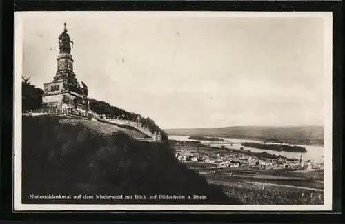 AK Rüdesheim a. Rhein, Nationaldenkmal auf dem Niederwald, Landschaftspanorama