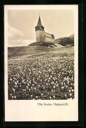 Foto-AK Amag: Die kirche auf einem Hügel, Ostergrüsse mit blühender Wiese