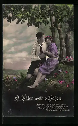 Foto-AK Photochemie Berlin Nr. 5730: Junger Mann mit Freundin unter einem Baum