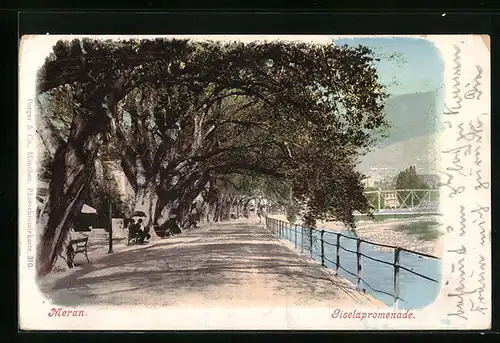 AK Meran, Blick über die Giselapromenade