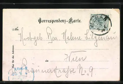 AK Meran, Blick über die Giselapromenade