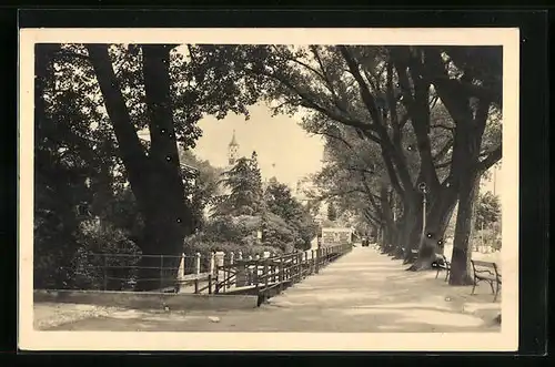 AK Merano, Passeggiata di sopra