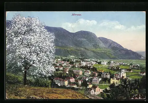 AK Merano, Generalansicht im Tal zur Baumblüte