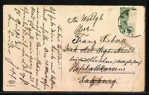 AK Meran, Totale mit dem Mendelgebirge vom Tappeinerweg aus