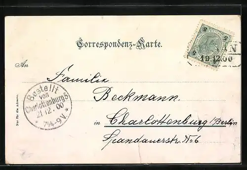 AK Meran, Gilfpromenade mit Steinernem Steg