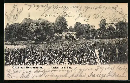 AK Bordesholm, Ansicht vom Seeufer aus
