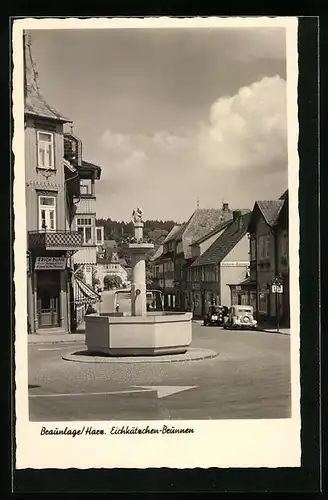 AK Braunlage im Harz, am Eichkätzchen Brunnen