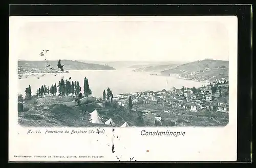 AK Constantinople, General View of the City at the Bosporus