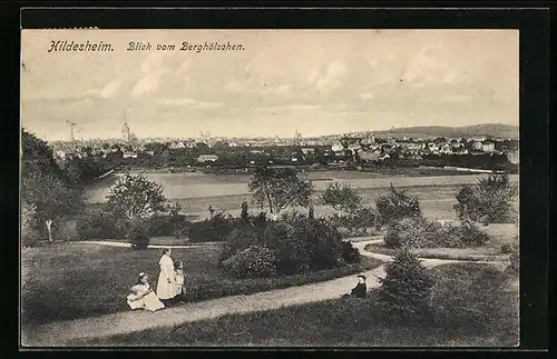 AK Hildesheim, Blick vom Berghölzchen