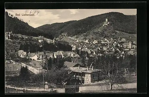 AK Bad Liebenzell, Generalansicht der Ortschaft