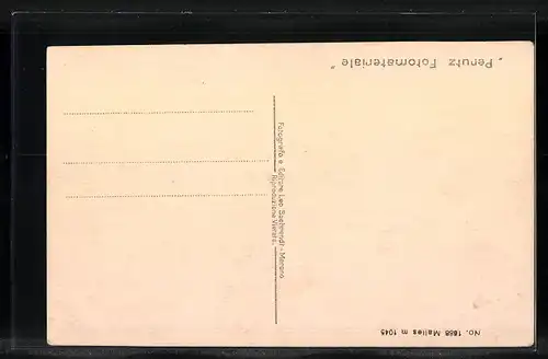 AK Malles, Totalansicht