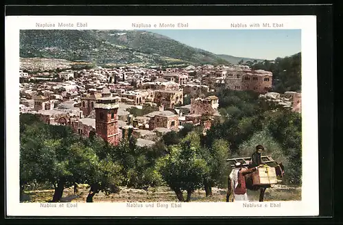 AK Nablus, Panorama with Mt. Ebal