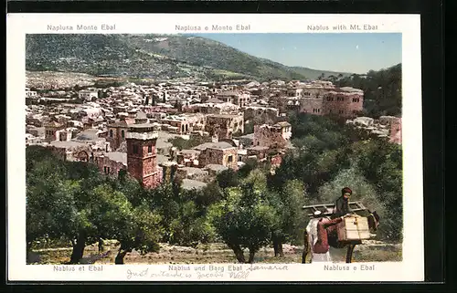 AK Nablus, Panorama with Mt. Ebal