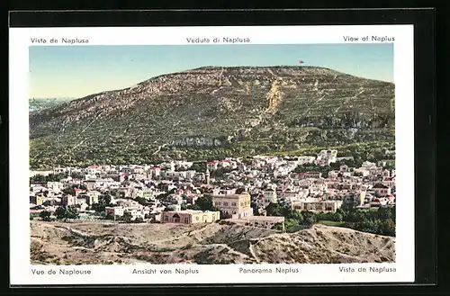 AK Naplus, Panorama