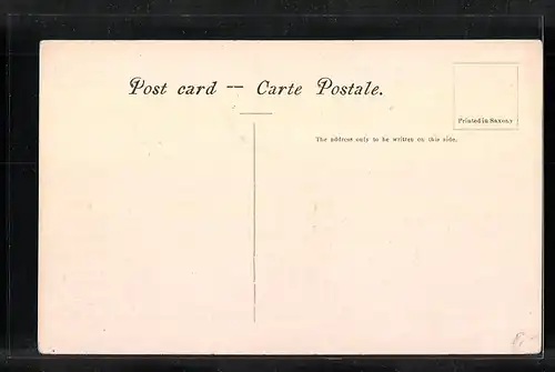 AK Mount Abu, Panorama