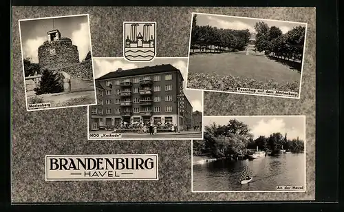 AK Brandenburg / Havel, HOG-Kaskade, Marienberg, Rosenhag auf dem Marienberg