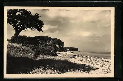 AK Rettin / Ostsee, Elfenschlucht
