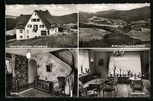 AK Winterberg / Hochsauerland, Pension Haus Burgfrieden, Gesamtansicht