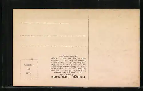 AK Constantinople, Tombeaux des Sultans Mohamond II et Abdul-ul-Aziz