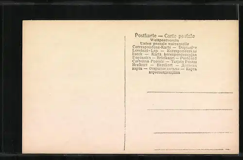 AK Constantinople, Palais Yildis et Mosquee Hamidie