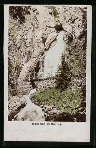 AK Mürzsteg, Wasserfall Todtes Weib