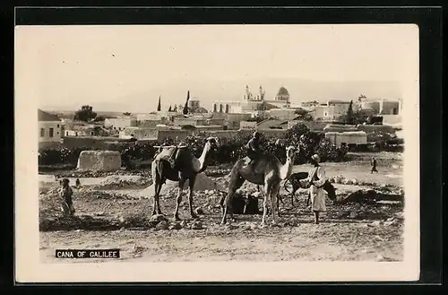 AK Cana, Cana of Galilee, Kamele und Stadt