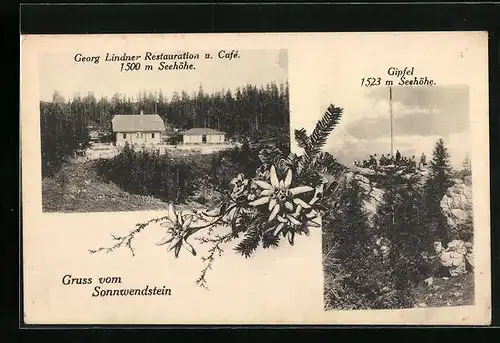 AK Sonnwendstein, Georg Lindner Restaurant u. Cafe, Gipfel