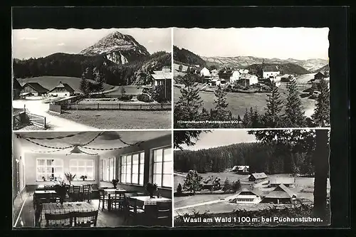 AK Puchenstuben, Gasthaus Wastl am Wald, Innenansicht, Ortspartie