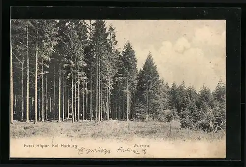AK Höpen, Waldwiese am Waldrand
