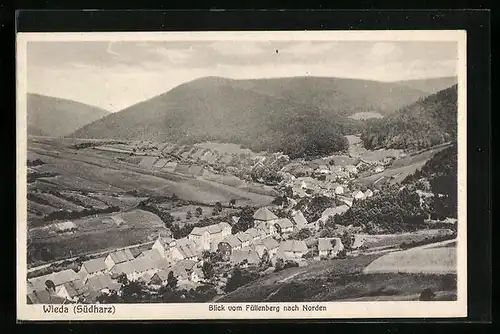 AK Wieda / Südharz, Blick vom Füllenberg nach Norden