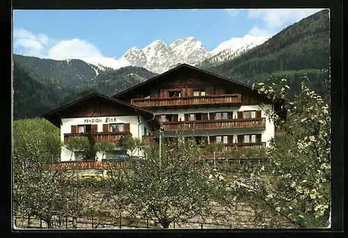 AK Schenna /Meran, Hotel-Pension Fink, Verdinser Strasse 9
