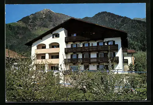 AK Dorf Tirol, Hotel-Pension Garni Tritscherhof, Haslacherstrasse 32