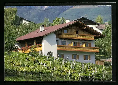 AK Dorf Tirol, Hotel-Pension Weinguot, Lingstrasse 33