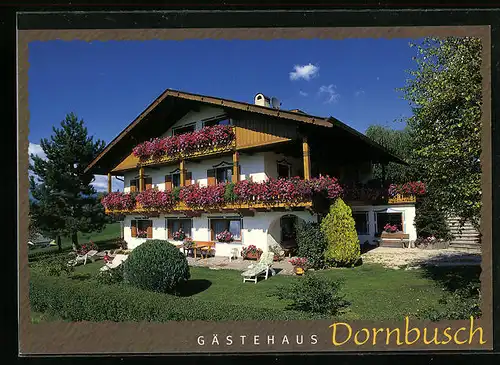 AK Kastelruth, Hotel Gästehaus Dornbusch, Paniderstrasse 47