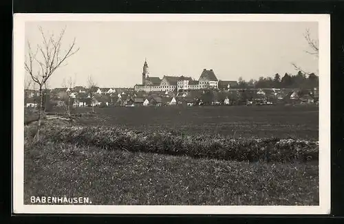 AK Babenhausen, Panorama