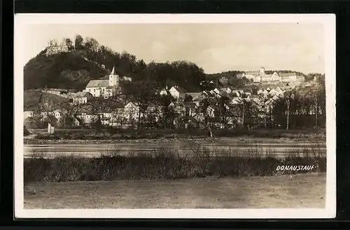 AK Donaustauf, Panorama