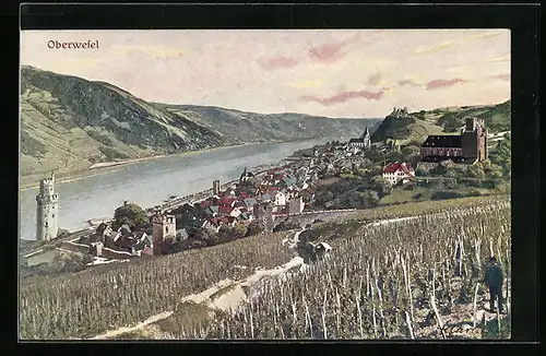 AK Oberwesel, Ortsansicht und Rheinpartie aus der Vogelschau