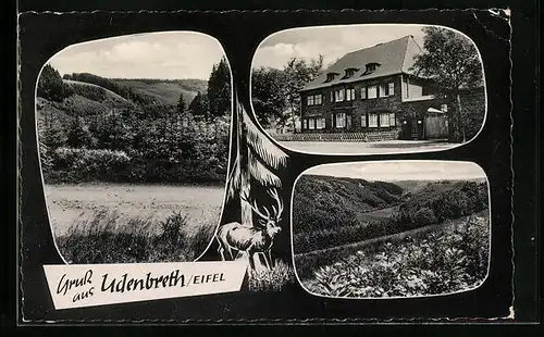 AK Udenbreth / Eifel, Ortsansicht und Strassenpartie