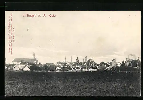 AK Dillingen a. D., Panorama