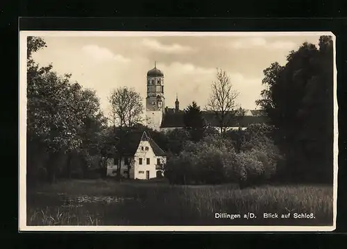 AK Dillingen a. D., Blick zum Schloss