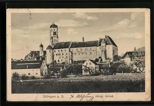 AK Dillingen a. D., Königliches Schloss